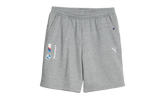BMW MOTORSPORT ESS FLEECE SHORTS "Gray" 621311 03