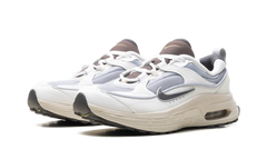 Air Max Bliss WMNS "Next Nature Wolf Grey Summit White" DZ4707 001