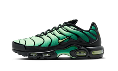 Air Max Plus "Vapor Green Malachite Black Light Lemon Twist" DM0032 301