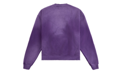 Eagle Sweatshirt "Purple / Red" DSM S26 057